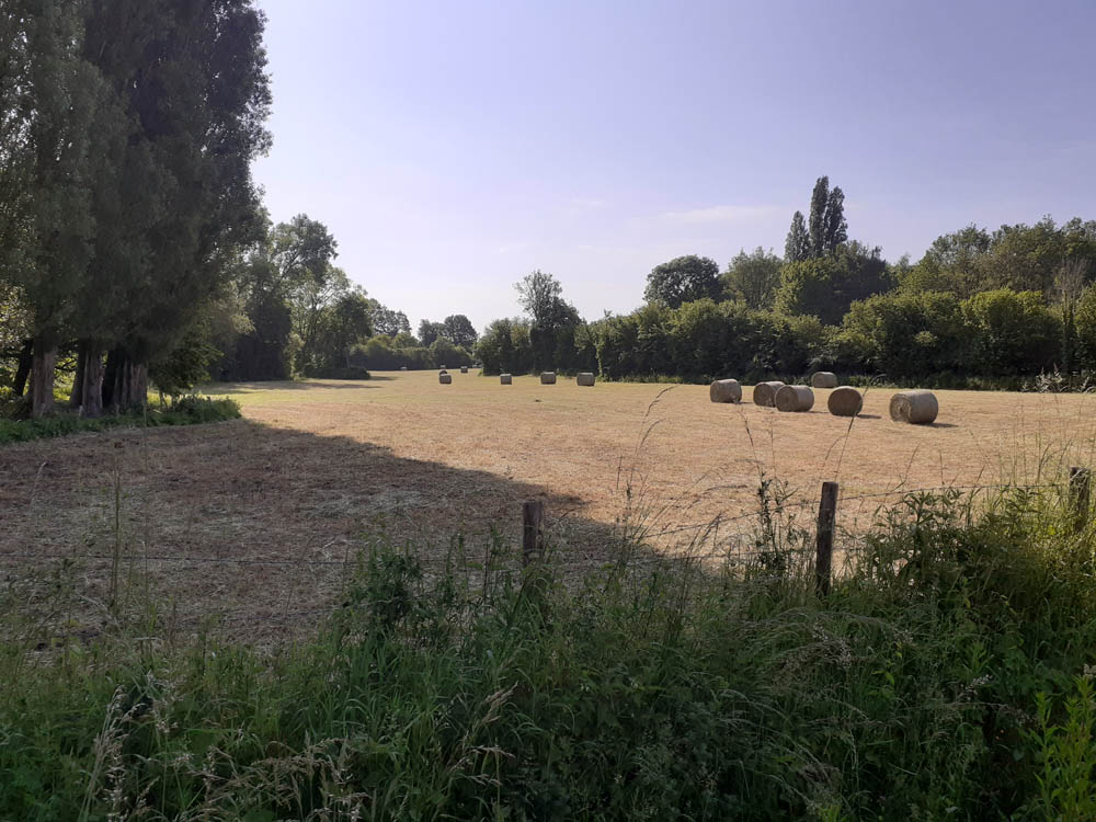 Chambres d'hôtes Les Carrières à Sargé-lès-le-Mans